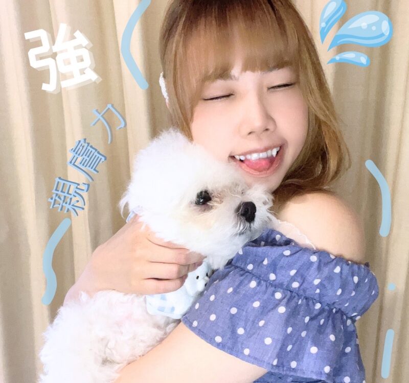 貝比喬科