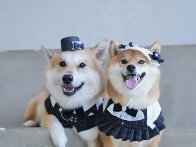 Maru & Nami