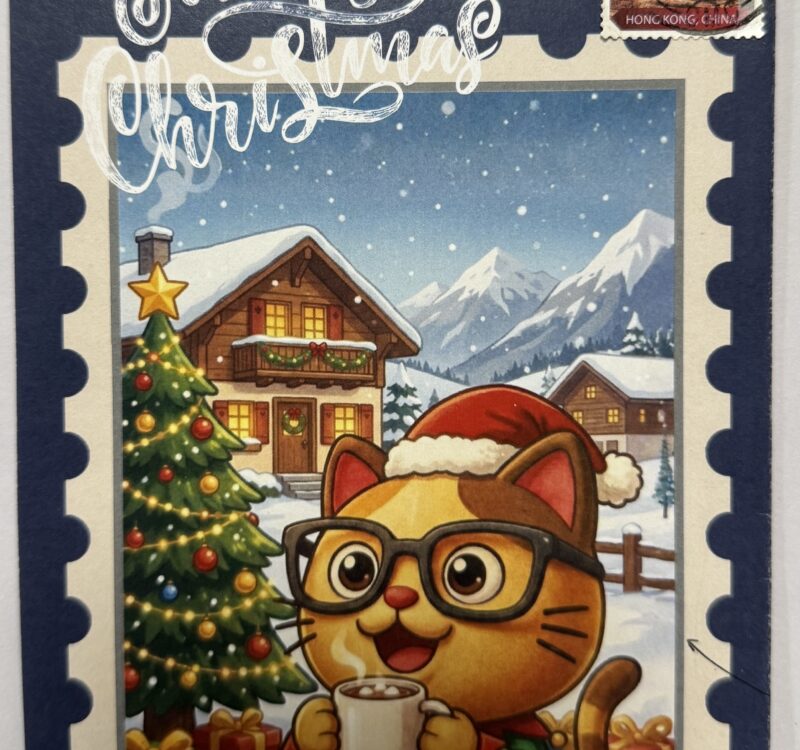 Secure Your Future: Stock & Insurance Consultations