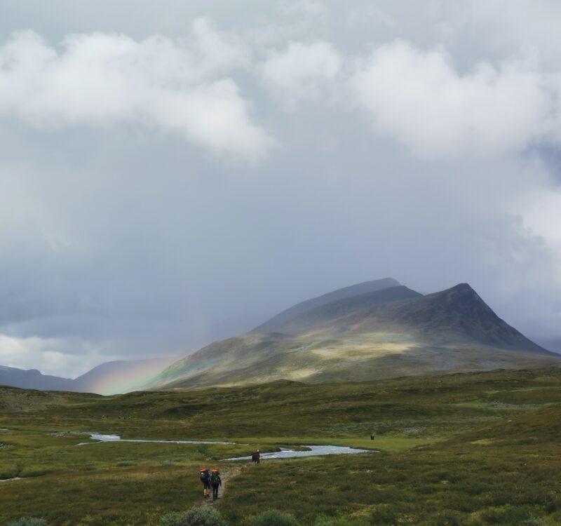 入黎睇下share下啦