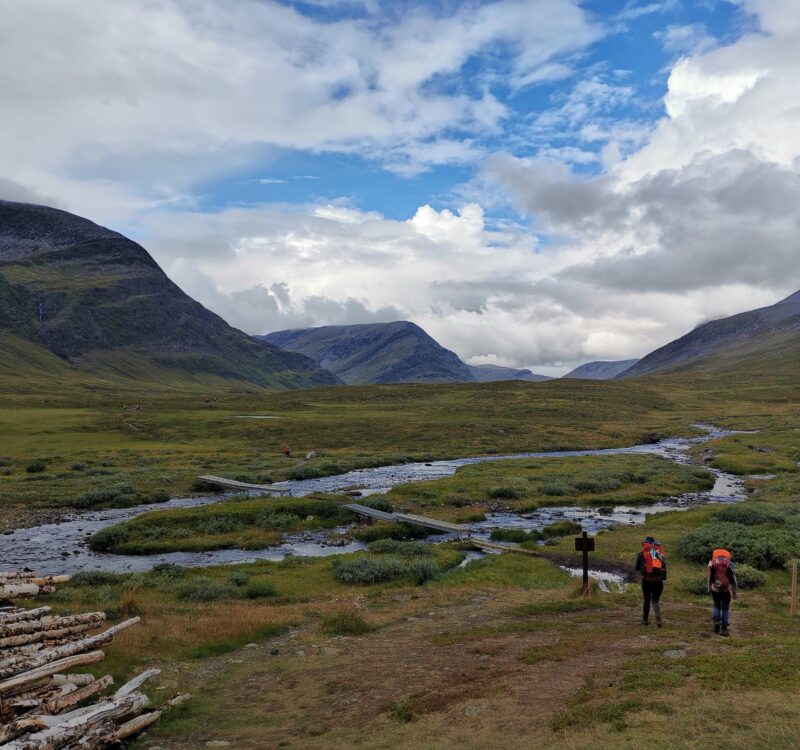 入黎睇下share下啦