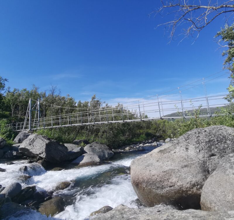 入黎睇下share下啦