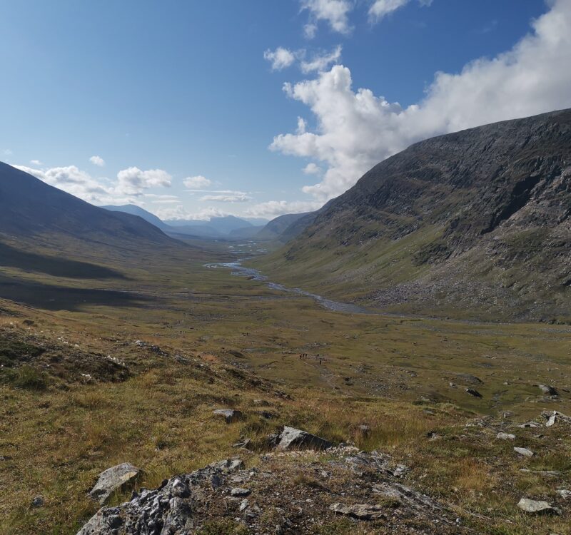 入黎睇下share下啦