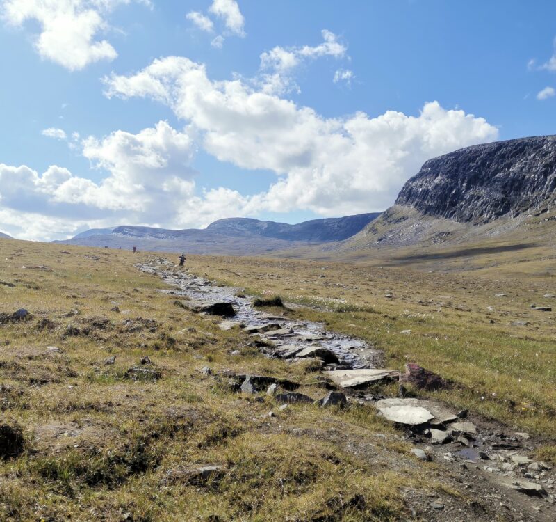 入黎睇下share下啦